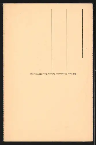 AK Liége, Musée Curtius