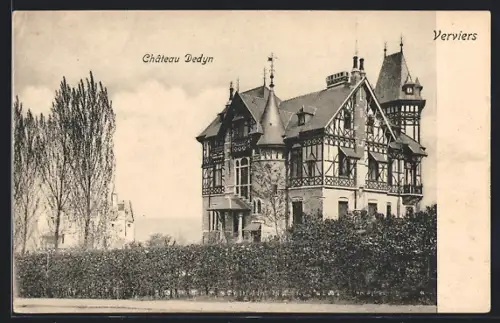 AK Verviers, Château Dedyn
