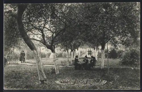 AK Hamont, Pensionnat Bethléem Religieuses Ursulines, Jardin Anglais