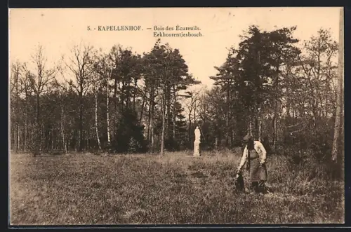 AK Kapellenhof, Bois des Écureuils