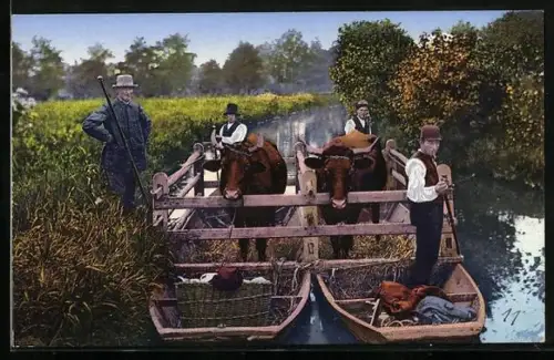 AK Viehtransport im Spreewald auf Booten