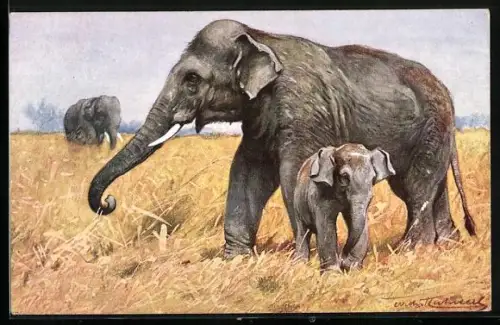 AK Elefantenmutter mit Elefantenbaby in der Savanne