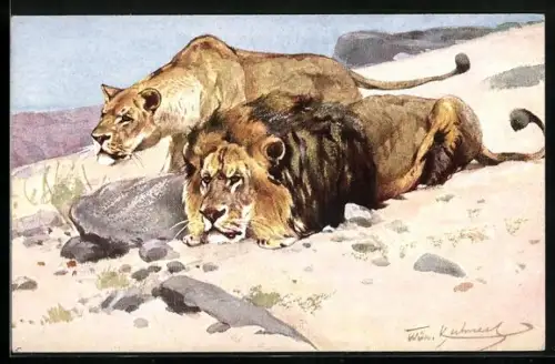 Künstler-AK Löwen in Afrika