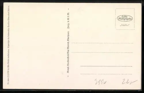 AK Lindau i. B., Zeppelin LZ 127 - Graf Zeppelin über der Stadt