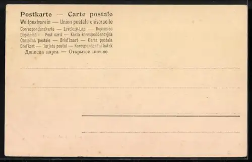 AK Berlin, Pariser Platz und Brandenburger Tor, Parade