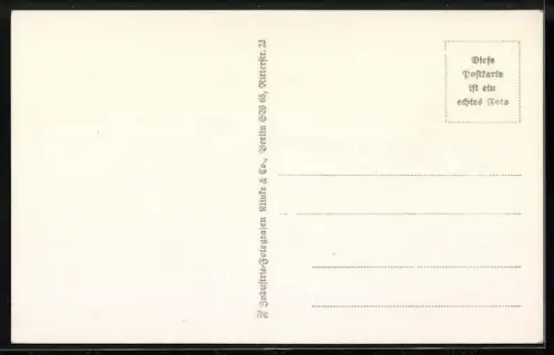 AK Berlin, Brandenburger Tor mit Anlage