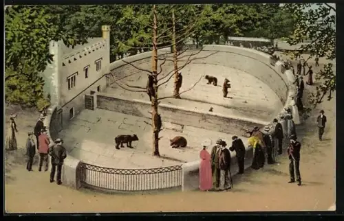 AK Bern, Bärengraben mit Besuchern aus der Vogelschau