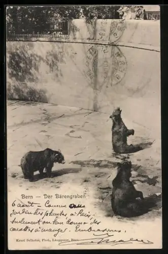 AK Bern, Bären im Bärengraben