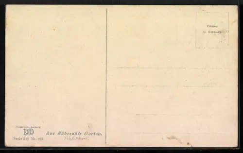 Künstler-AK Photochromie Nr. 803: Teufelsbart, Aus Rübezahls Garten