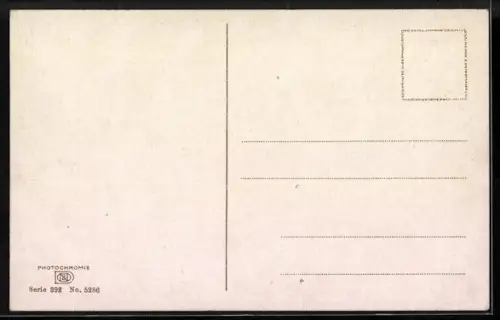 Künstler-AK Photochromie Nr. 5286: Bäume zur Herbstzeit am See