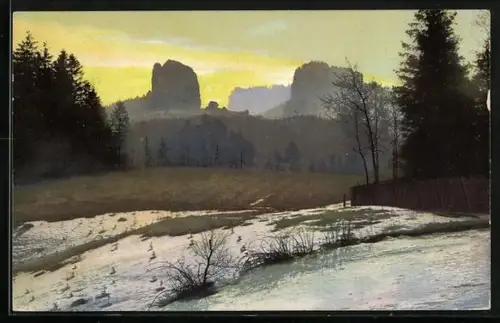 Künstler-AK Photochromie: Winterpartie mit Wald- und Bergblick