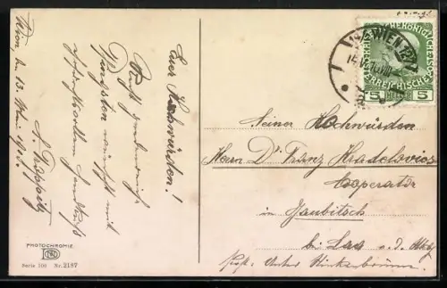 Künstler-AK Photochromie Nr. 2187: Niederlössnitz-Kötzschenbroda, Kolonie Altfriedstein