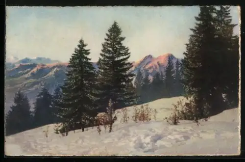 Künstler-AK Photochromie Nr. 4504: Tannen u. Bergpanorama im Winter