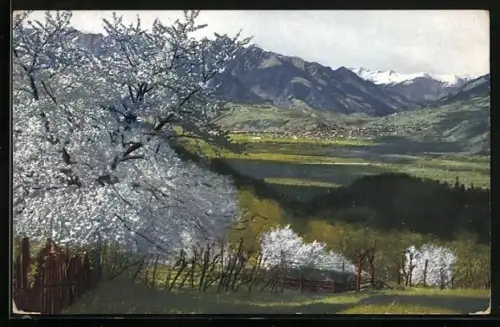 AK Photochromie NR.2716: Obstblüte in Tirol