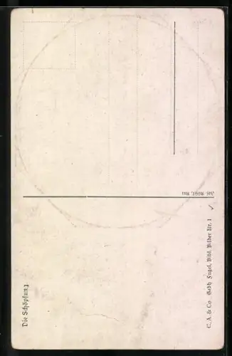 AK Die Schöpfung, Bibel
