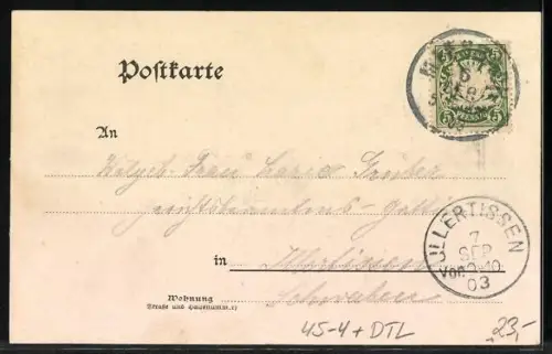 AK Miesbach, XI. Gauturnfest Miesbach 1903, Ortsansicht aus der Vogelschau