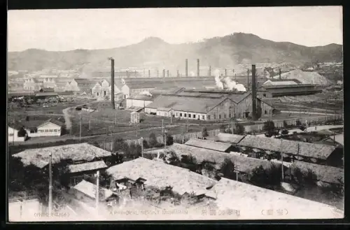 AK Muroran, A Painopal Seignt