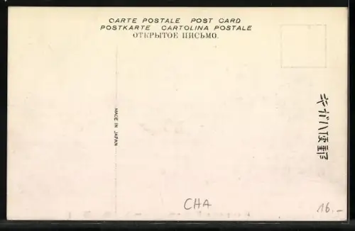 AK Wei-hai-wei, Bird`s Eye View