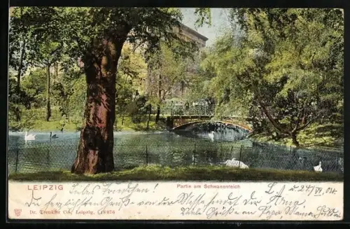 AK Leipzig, Partie am Schwanenteich