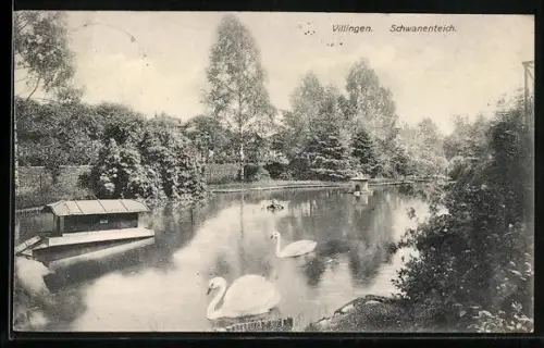 AK Villingen / Baden, Schwanenteich