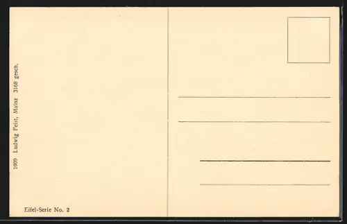 AK Daun, Ortsansicht mit Burg