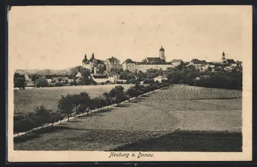 AK Neuburg a. Donau, Ortsansicht aus der Ferne