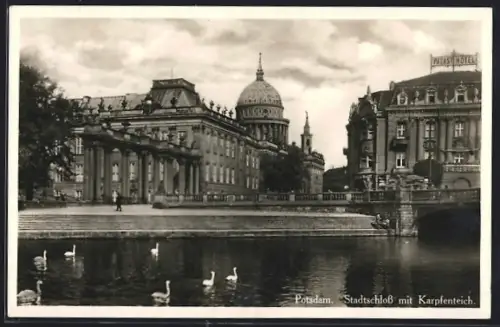AK Potsdam, Stadtschloss mit Karpfenteich