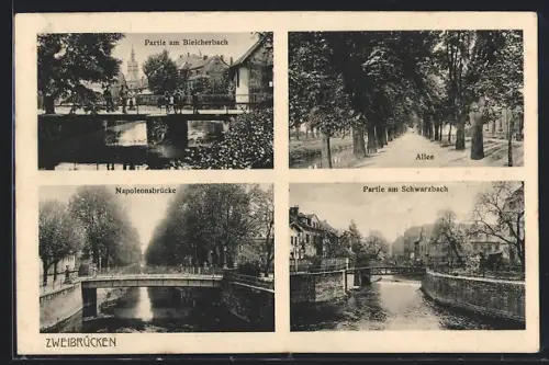 AK Zweibrücken, Partie am Bleicherbach, Allee, Napoleonsbrücke, Partie am Schwarzbach