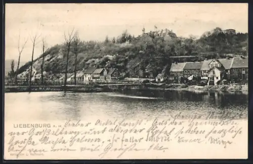 AK Liebenburg a. H., Ortsansicht mit Uferpartie