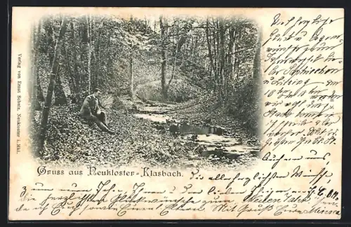 AK Neukloster / Meckl., Klasbach mit Waldlandschaft