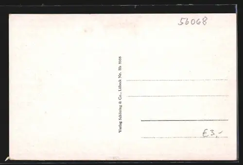 AK Koblenz a. Rh., Schiffsbrücke, Rhein, Festung Ehrenbreitstein