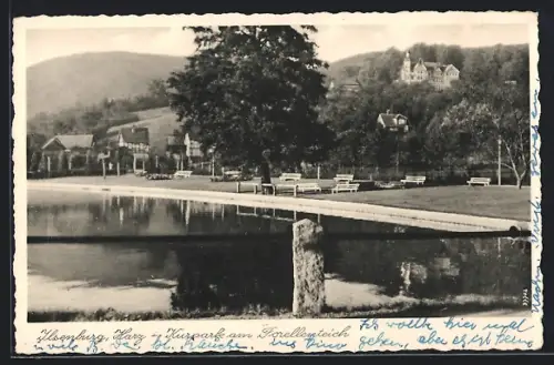 AK Ilsenburg, Kurpark am Forellenteich