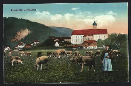 AK Beuron i. Donautal, Ortsansicht mit weidenden Kühen