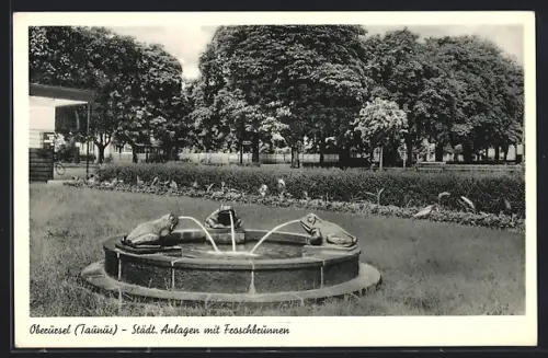 AK Oberursel /Taunus, Städtische Anlagen mit Froschbrunnen