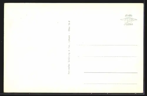 AK Oberursel /Taunus, Städtische Anlagen mit Froschbrunnen