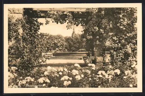 AK Coburg, Rosengarten