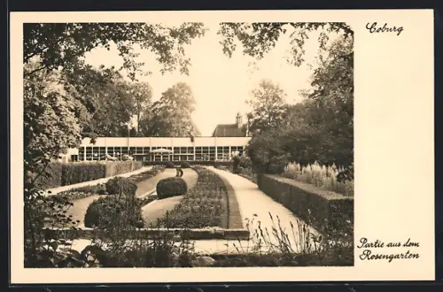 AK Coburg, Rosengarten, Gartenschau