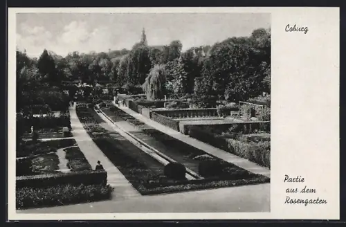 AK Coburg, Partie aus dem Rosengarten