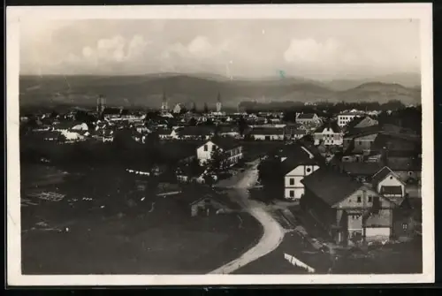 AK Pezinok, Panorama