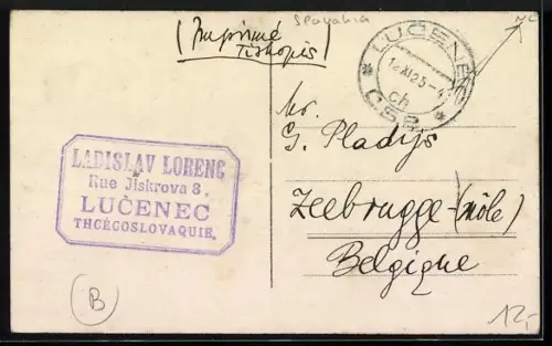 AK Lucenec, Panorama