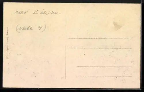 AK Trencin, Panorama