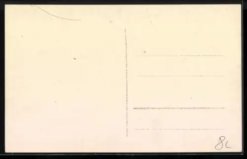 AK Trencin, Panorama