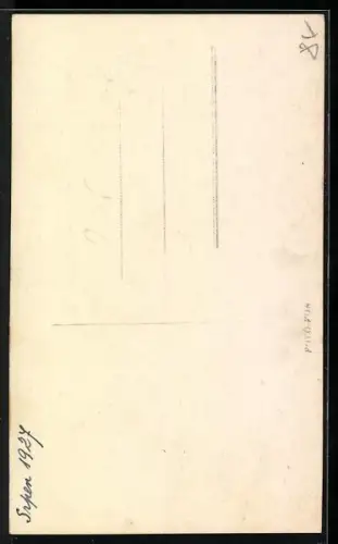 AK Trenc. Teplice, Sina a Haman