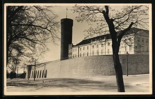 Foto-AK Tallinn, Valitsuse loss