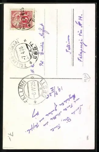 AK Reval, Parkanlagen und Mauer