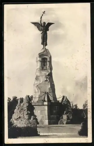 AK Reval, Russalka-Denkmal, Totalansicht