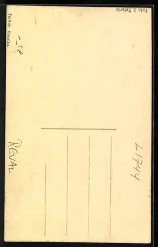 AK Reval, Russalka-Denkmal, Totalansicht
