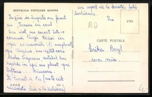 AK Doftana, Vedere generala