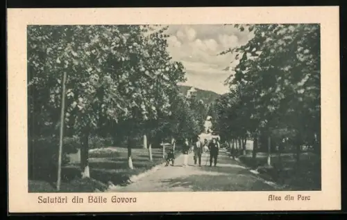 AK Baile Govora, Alea din Parc