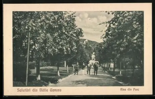 AK Baile Govora, Alea din Parc